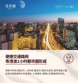 惠州龙光城房价走势深度解析与2019年市场新动态